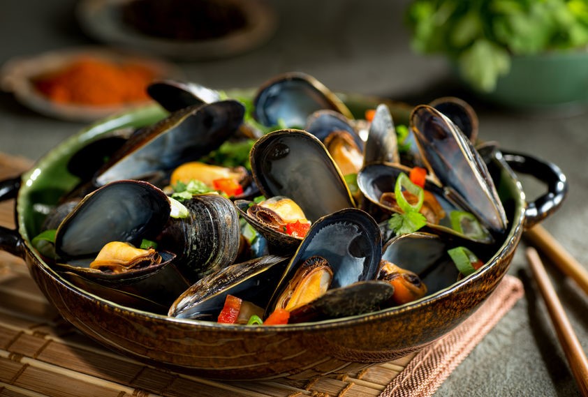 2 nederlands mossel comite