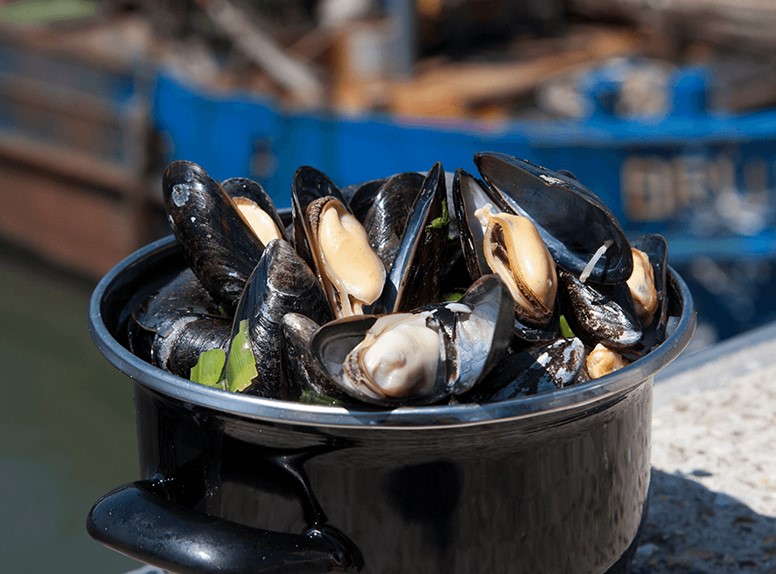 nederlands mossel comite mosselen in een pan nederlands mossel comite mosselen